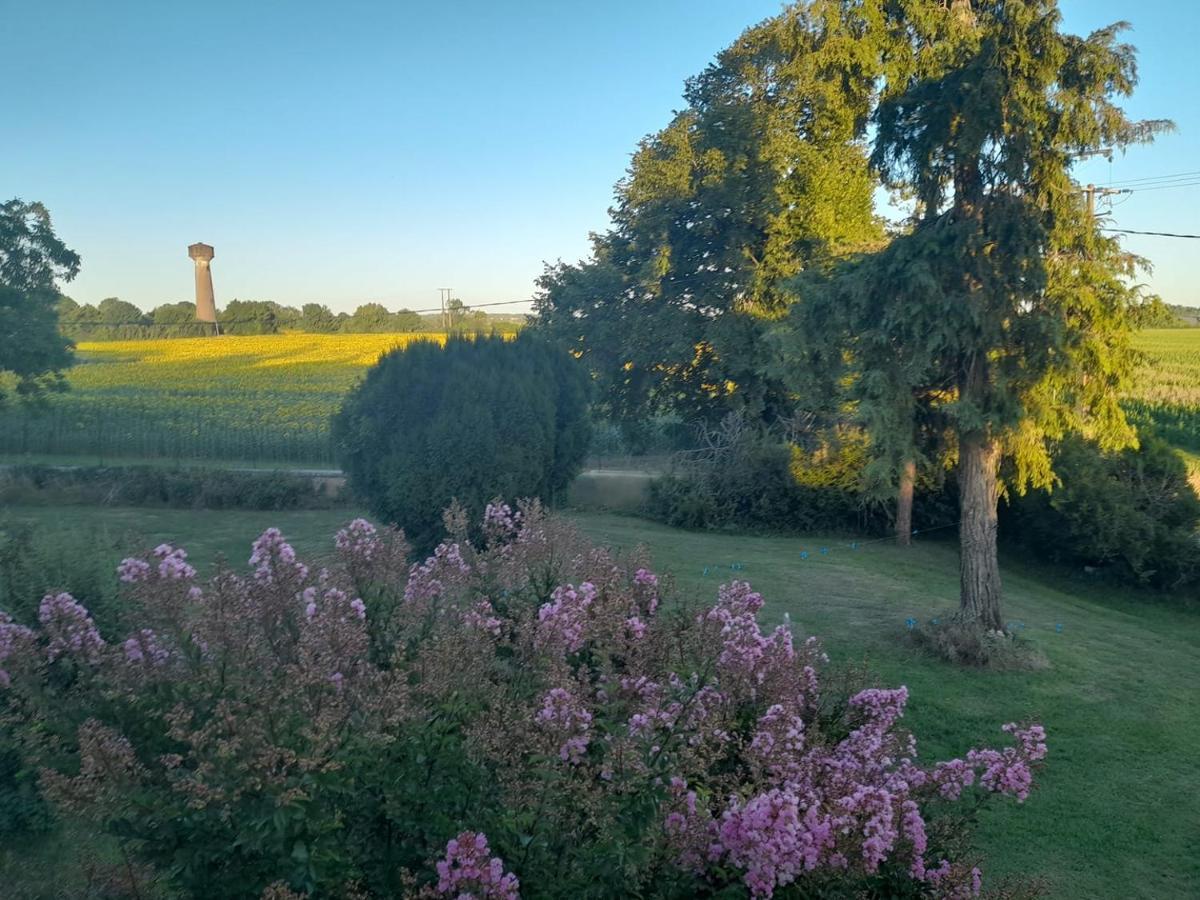 Chateau Ardilleux Kültér fotó